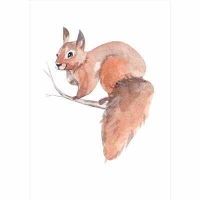 Plakat dla dzieci wiewiórka na gałązce PS003