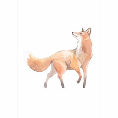 Plakat dla dzieci lis, lisek PS004