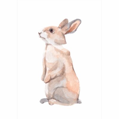 Plakat dla dzieci zajączek PS006