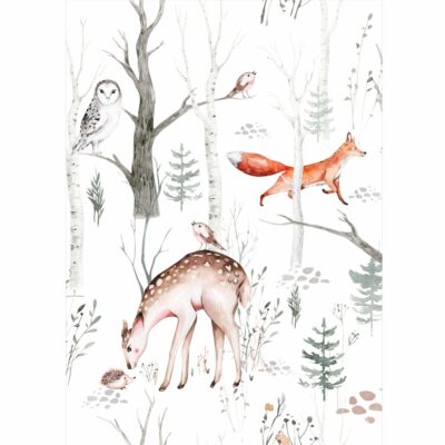 Plakat dla dzieci las, sarna, lis, sowa PS007