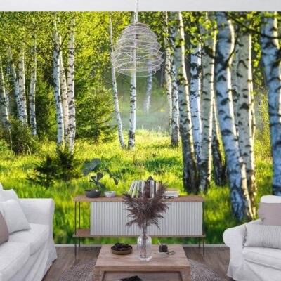 Nowoczesny salon z białą kanapą i fototapetą na całą ścianę z motywem słonecznego lasu brzozowego, tworzącą atmosferę spokoju i bliskości z naturą.